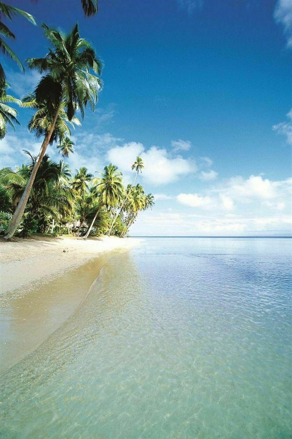 Jean-Michel Cousteau Resort Fiji Savusavu Exterior photo